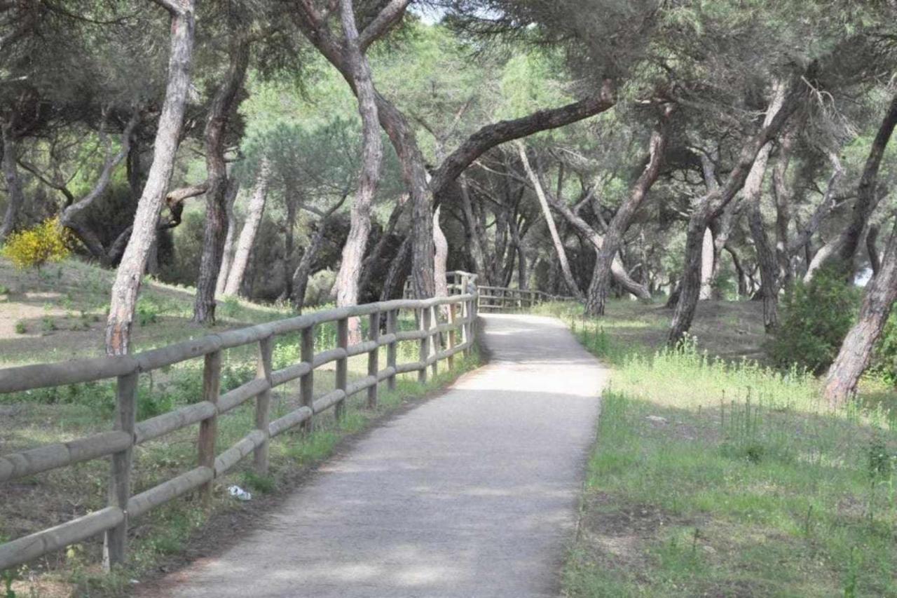 Tres Dormitorios Vistas Al Mar Junto A La Playa 푼타움브리아 외부 사진